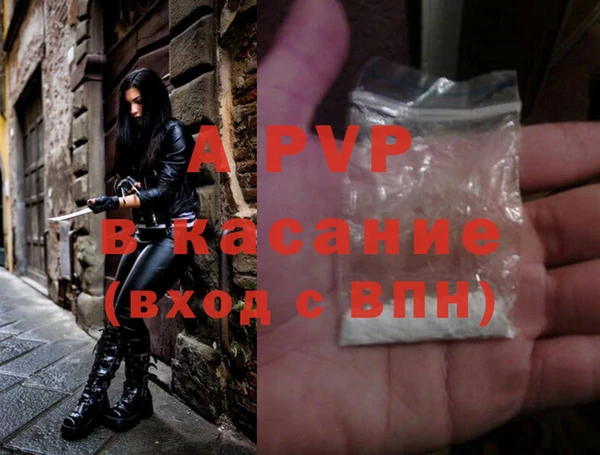 спиды Магас