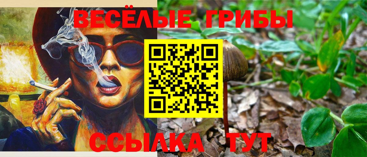 Галлюциногенные грибы Magic Shrooms  Псилоцибиновые грибы Magic Shrooms  Вход с VPN  Южно-Сахалинск 